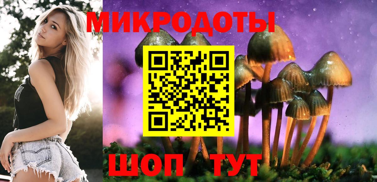 Галлюциногенные грибы Cubensis Ипатово