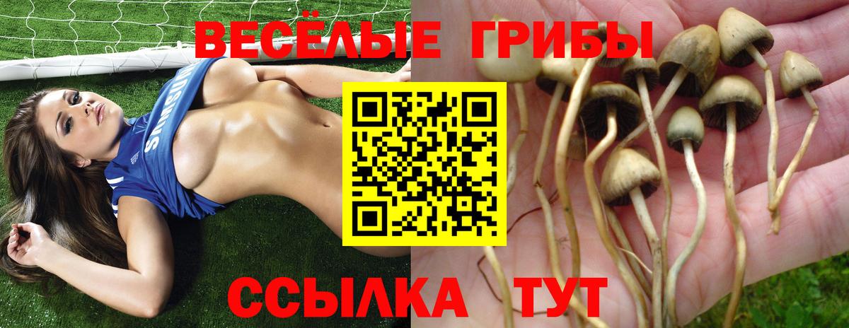 Псилоцибиновые грибы мухоморы  магазин  наркотиков  Вход с VPN  Ипатово  Псилоцибиновые грибы прущие грибы 